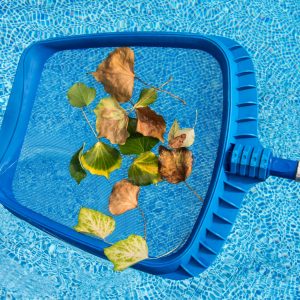 Cleaning leaves from the swimming pool